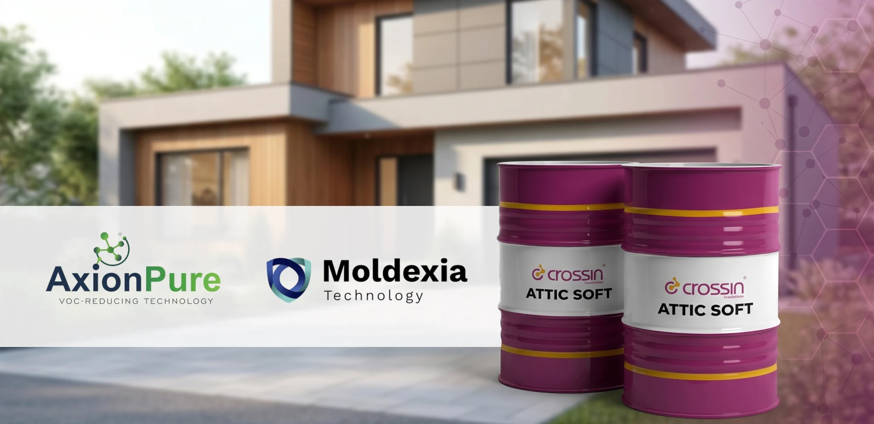 AxionPure i Moldexia